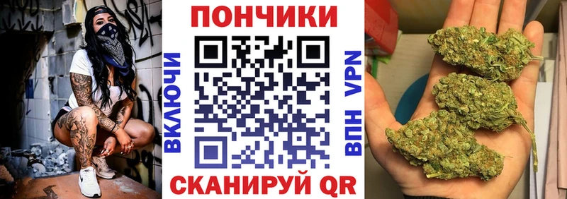 Каннабис семена  Бологое 